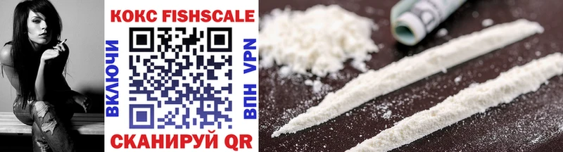 КОКАИН Fish Scale как найти закладки Малая Вишера